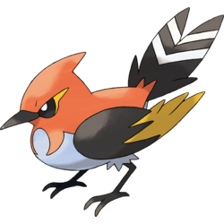 066png — All Birb Pokemon (For Real) option 66