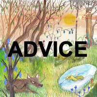 Cavetown71png — ALL CAVETOWN SONGS :) option 68