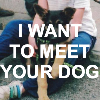 Cavetown93png — ALL CAVETOWN SONGS :) option 92