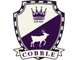 Thecobblestonecollectionpng — All csgo competitive maps ever option 10