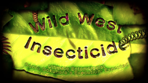 Executiontitlecard Wildwestinsecticide28english29png — All Danganronpa Game Deaths and Executions (SPOILERS) option 34