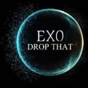 1b4ffbea 934f 4733 A24f 5358c2ca9a49512jpg — All EXO songs option 5