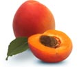 Apricotsmalljpg — ALL Fruits option 3