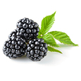 Blackberrysmalljpg — ALL Fruits option 6