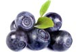 Blueberriessmalljpg — ALL Fruits option 8
