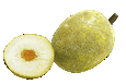 Breadfruitsmallgif — ALL Fruits option 9