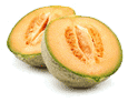 Cantaloupesmallgif — ALL Fruits option 10