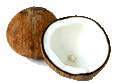 Coconutmeatsmallgif — ALL Fruits option 15