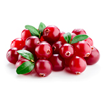 Cranberriesforwebsite1jpg — ALL Fruits option 16