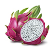 Dragon Fruit Smalljpg — ALL Fruits option 19