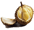 Duriansamllgif — ALL Fruits option 20