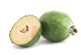 Feijoasmallgif — ALL Fruits option 22