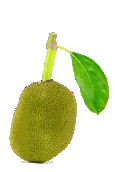Jackfruitsmallgif — ALL Fruits option 30