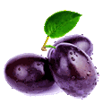 Javplumsmallgif — ALL Fruits option 31