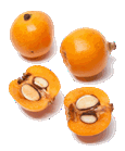 Loquatsmallgif — ALL Fruits option 37