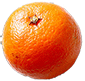 Mandarinsmallgif — ALL Fruits option 39