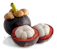 Mangosteensmallgif — ALL Fruits option 41