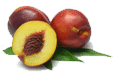 Nectarinesmallgif — ALL Fruits option 43
