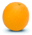 Orangesmallgif — ALL Fruits option 45