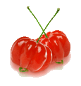 Pitangasmallgif — ALL Fruits option 52
