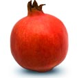 Pomegranatesmalljpg — ALL Fruits option 55