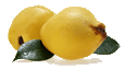 Quincesmallgif — ALL Fruits option 58