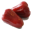 Roseapplesmallgif — ALL Fruits option 61