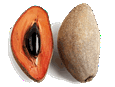 Sapotesmallgif — ALL Fruits option 63
