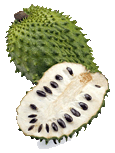 Soursopsmallgif — ALL Fruits option 64