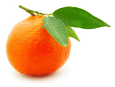 Tangerinesmallgif — ALL Fruits option 68