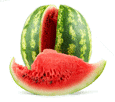 Watermelonsmallgif — ALL Fruits option 70