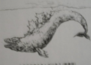 Img4839jpeg — All Godzilla Designs Throughout All Media option 38