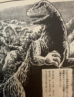 Img4849jpeg — All Godzilla Designs Throughout All Media option 48