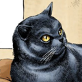 Tamapng — All JoJo's Bizarre Adventure Characters 1-8 option 208