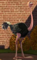 Ostrich2jpg — ALL Madagascar Character Tier List option 125