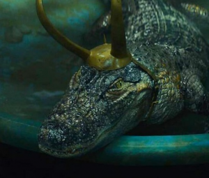 Alligator Loki Headerjpg — All Mcu characters as of May 2022 option 23