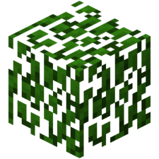 Leavespng — All Minecraft Blocks (1.14) option 86