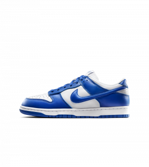 Dunk Low Varsity Royal Release Datepng — All Nike Dunks option 84
