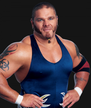 Bill Demottpng — All Of The WWE Commentators option 5