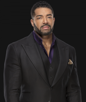 David Otungapng — All Of The WWE Commentators option 14