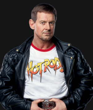 Roddy Piperpng — All Of The WWE Commentators option 42