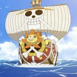 Zz16487783313f0abdf9 66b9 4e4d 83b9 A2d3f75b2e6bjpeg — All one piece characters option 9