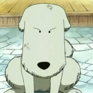 Zz16487783848dd66771 9270 414f 8a0a Cd56ffb1d194jpeg — All one piece characters option 22
