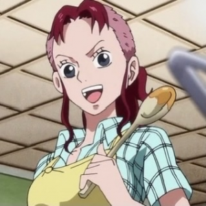 Zz164877849042edad5e 6f9b 4d57 8f2b E6de6a0ecc07jpeg — All one piece characters option 40