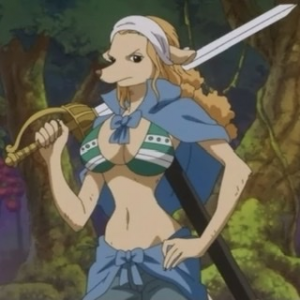 Zz164877930734491f2a 922e 4bf1 9f98 E2c85938dba5jpeg — All one piece characters option 254