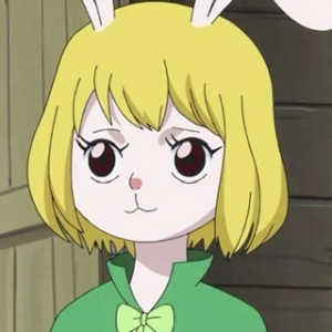Zz16487793076d26eaef 4e76 4214 903d 216a02d62ac8jpeg — All one piece characters option 256