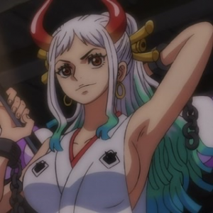 Zz1648779490a3712b70 2840 4c71 A775 A343766cd531jpeg — All one piece characters option 301