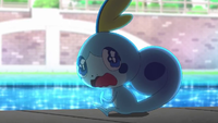 Zz1594545557200px Jn028png — All Pokemon Journeys episodes ranked (by @AshsLucario) option 28
