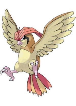 Zz161172754617 Pidgeottojpg — All Pokemons option 26