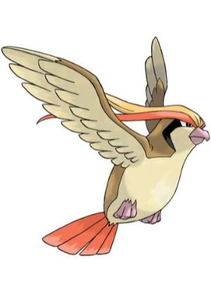 Zz161172754718 Pidgeotjpg — All Pokemons option 27